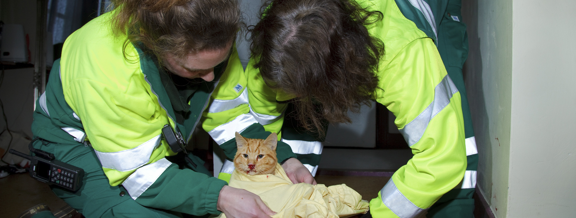 Dierenambulance Amsterdam-photo