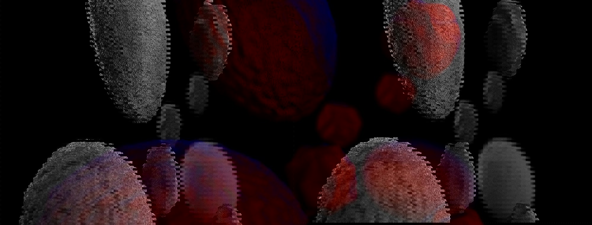 Cdc 5Jmoc6tinq4 Unsplash