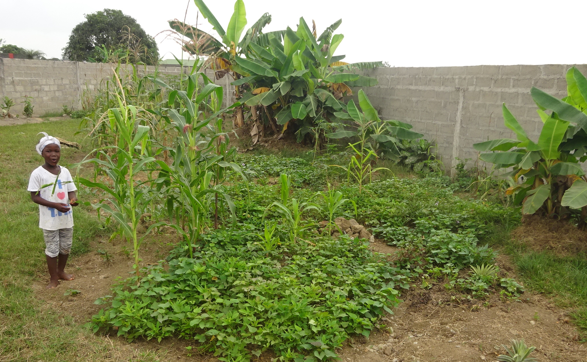 Tipps zu Website-Inhalt