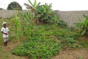 Tipps zu Website-Inhalt