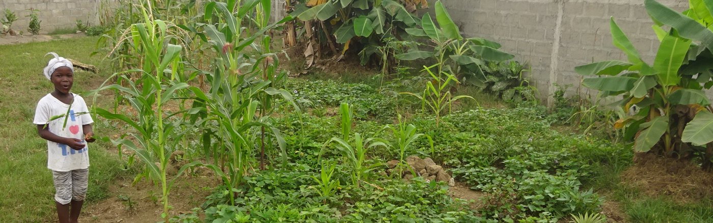 Tipps zu Website-Inhalt